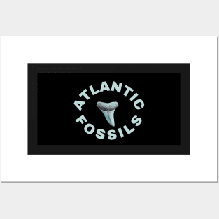 Bolder Black & Blue Atlantic Fossils Shark Tooth Print Posters and Art